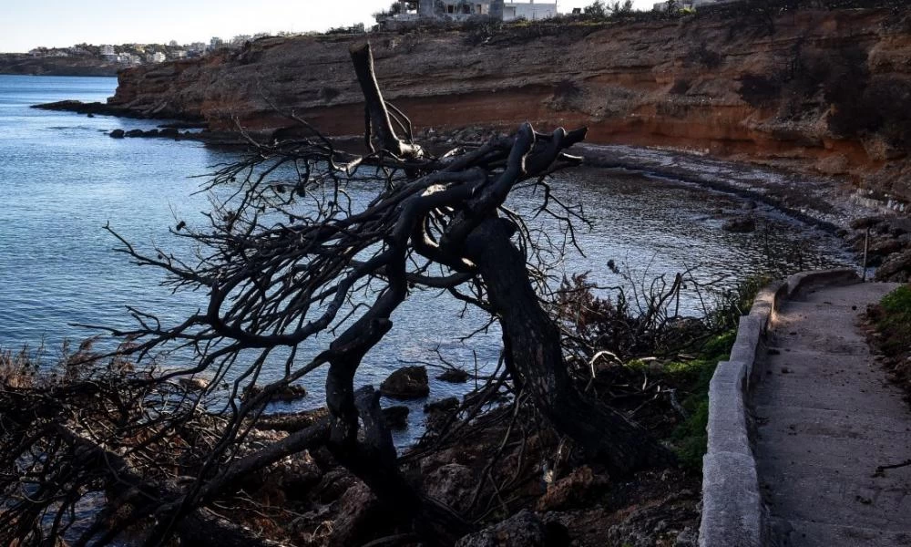 Παίρνει θέση για τα γεγονότα στο Μάτι ο πρώην αρχηγός της Πυροσβεστικής